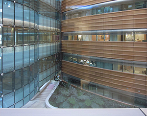 Sidra Medical and Research Center