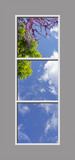 Ceiling Design 6av01_2x6md02
