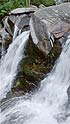 Mountain Waterfall with Water Ouzels, Wyoming, United States